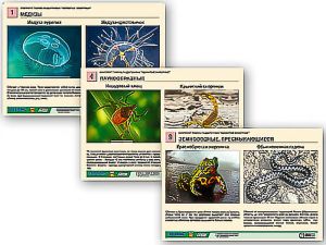 Комплект таблиц раздаточных "Ядовитые животные"