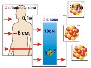 Модель-аппликация "Явление радиоактивности" (ламинированная)