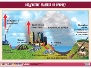 Таблица демонстрационная "Воздействие человека на природу" (винил 70х100)