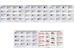 Плакаты ПРОФТЕХ "Каталог рыб для ресторанного бизнеса" (5 пл, винил, 70х100)